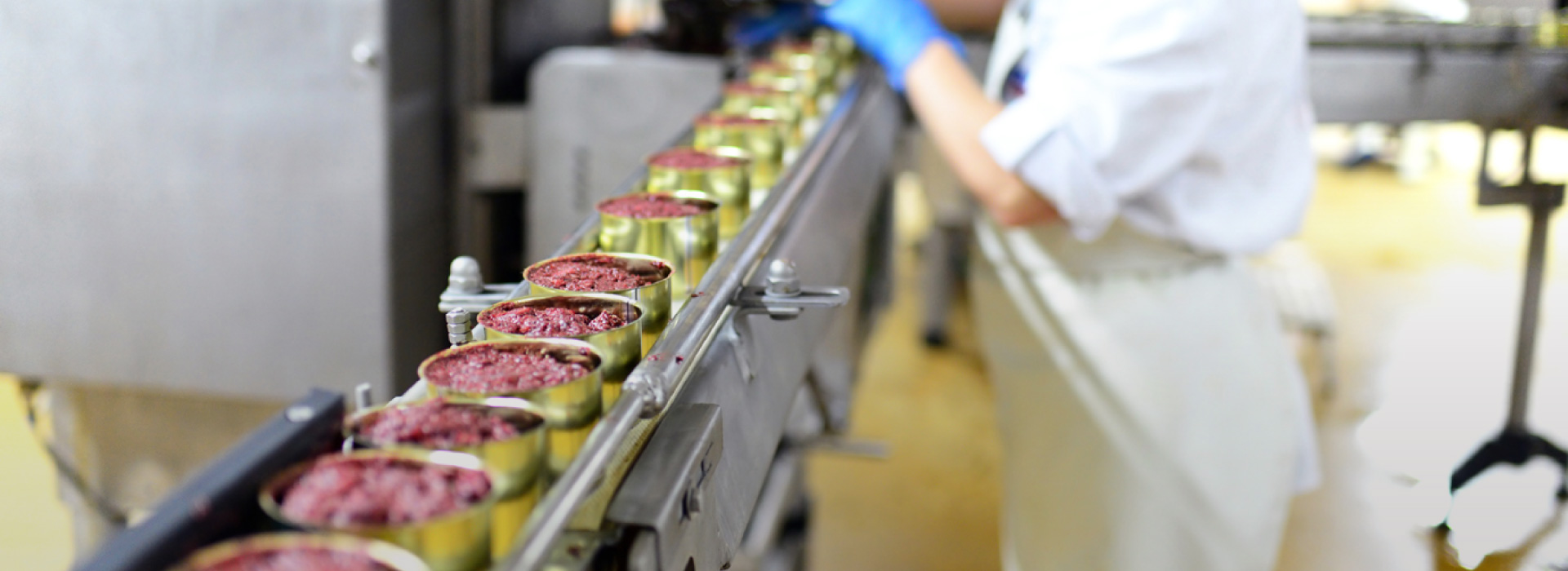 日本の食と農の未来を支えるFarmONの外国人材支援サービス