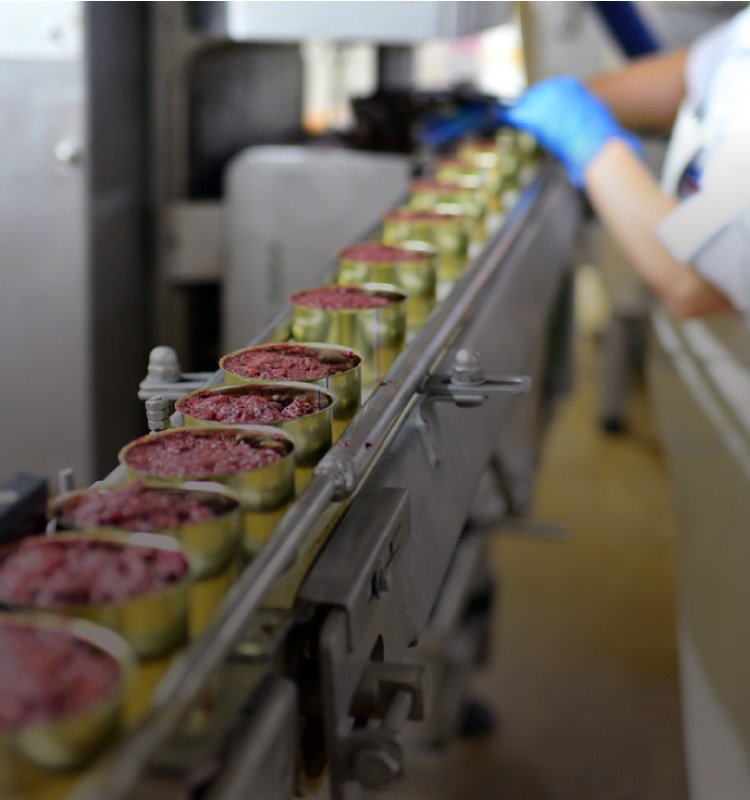 農業・食品業界の人手不足を外国人材で支援｜株式会社FarmON