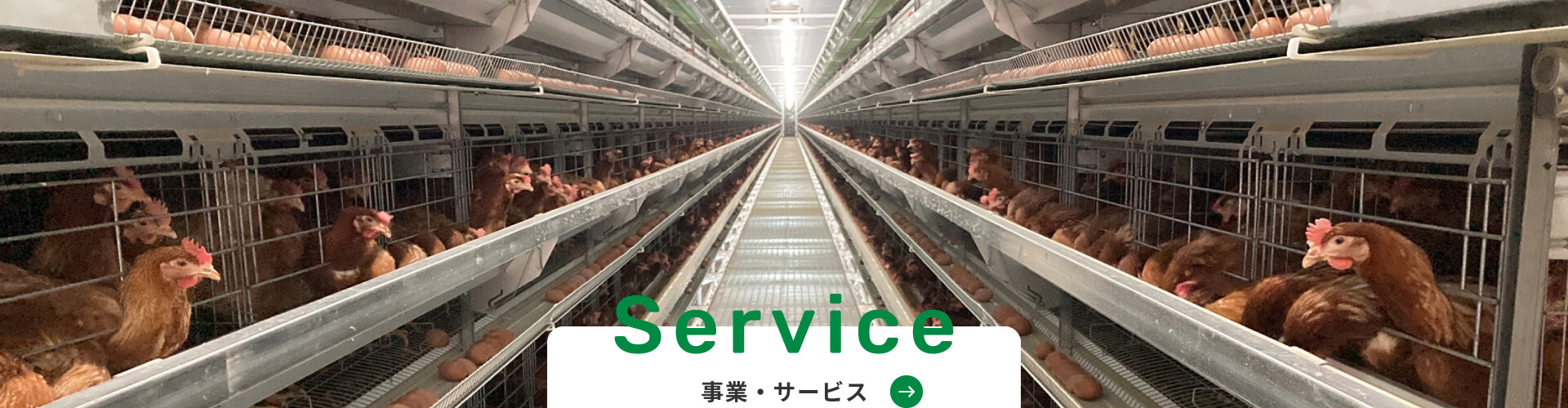 Service 事業・サービス
